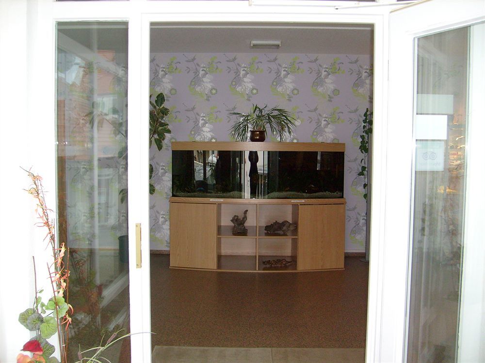 Villa Auszeit Hotel Garni Heringsdorf Kültér fotó